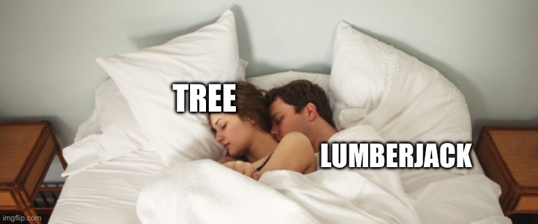 couple cuddles bed  | TREE; LUMBERJACK | image tagged in couple cuddles bed | made w/ Imgflip meme maker