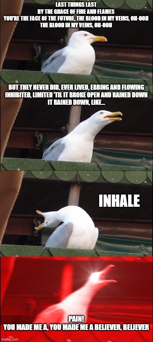 Inhaling Seagull | LAST THINGS LAST
BY THE GRACE OF FIRE AND FLAMES
YOU'RE THE FACE OF THE FUTURE, THE BLOOD IN MY VEINS, OH-OOH
THE BLOOD IN MY VEINS, OH-OOH; BUT THEY NEVER DID, EVER LIVED, EBBING AND FLOWING
INHIBITED, LIMITED 'TIL IT BROKE OPEN AND RAINED DOWN
IT RAINED DOWN, LIKE... INHALE; PAIN!
YOU MADE ME A, YOU MADE ME A BELIEVER, BELIEVER | image tagged in memes,inhaling seagull | made w/ Imgflip meme maker