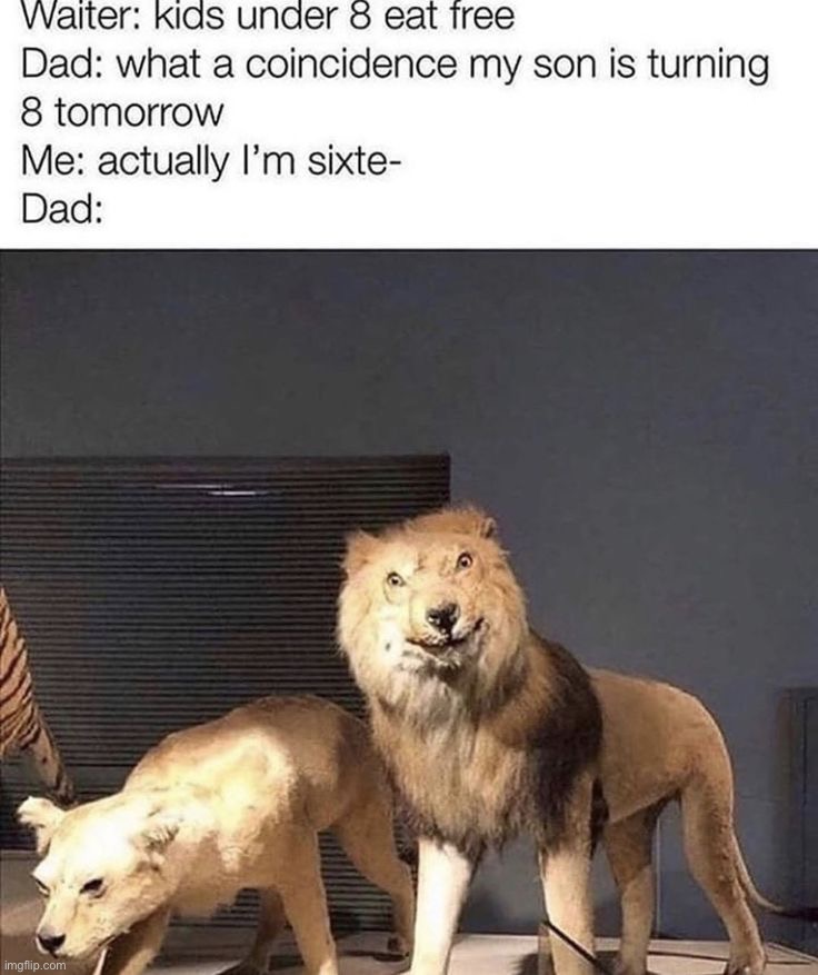 image tagged in memes,funny | made w/ Imgflip meme maker