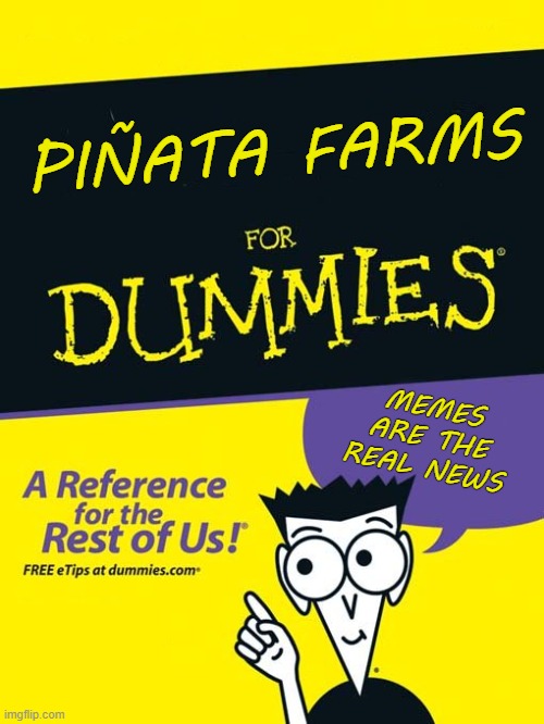 For dummies book | PIÑATA FARMS; MEMES ARE THE REAL NEWS | image tagged in for dummies book | made w/ Imgflip meme maker