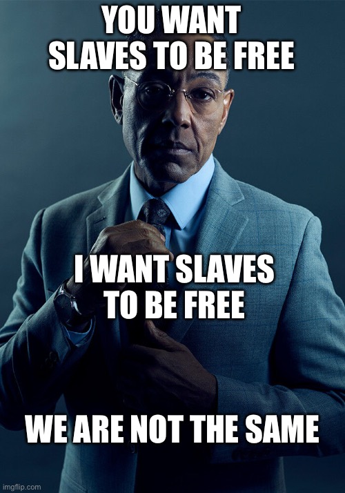 Gus Fring we are not the same | YOU WANT SLAVES TO BE FREE; I WANT SLAVES TO BE FREE; WE ARE NOT THE SAME | image tagged in gus fring we are not the same | made w/ Imgflip meme maker