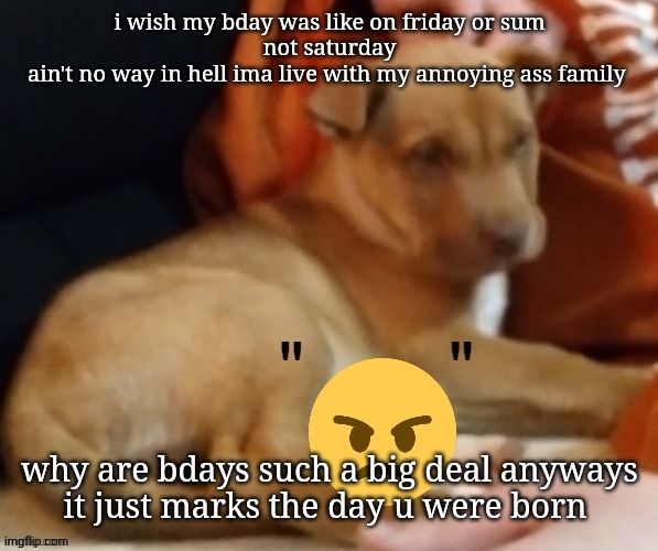 æ | i wish my bday was like on friday or sum
not saturday
ain't no way in hell ima live with my annoying ass family; why are bdays such a big deal anyways
it just marks the day u were born | image tagged in ty pogchamp | made w/ Imgflip meme maker