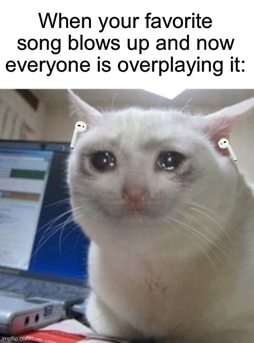I hate when this happens | When your favorite song blows up and now everyone is overplaying it: | image tagged in crying cat,memes,funny,true story,relatable memes,music | made w/ Imgflip meme maker
