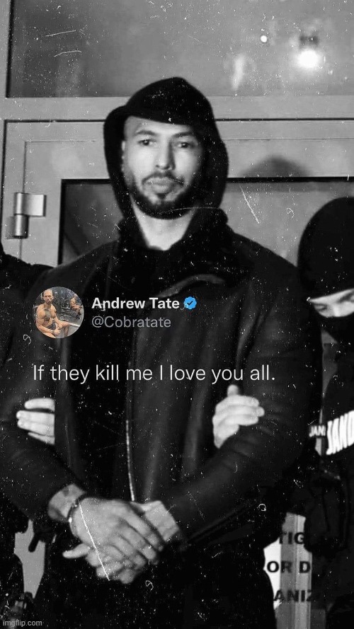 Andrew Tate if they kill me I love you all | image tagged in andrew tate if they kill me i love you all | made w/ Imgflip meme maker