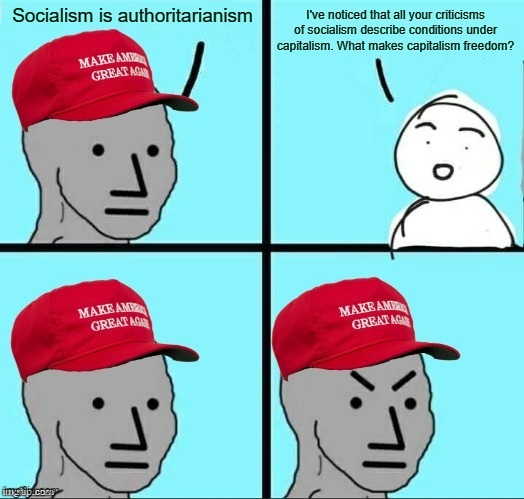 Conservatives are brainwashed | I've noticed that all your criticisms of socialism describe conditions under capitalism. What makes capitalism freedom? Socialism is authoritarianism | image tagged in maga npc an an0nym0us template,socialism,propaganda,capitalism,communism,conservative logic | made w/ Imgflip meme maker