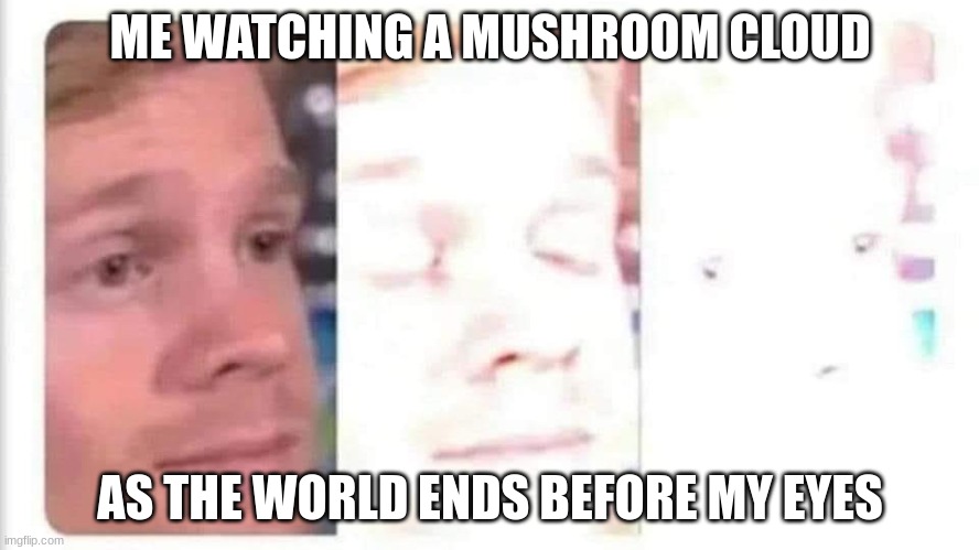 goodbye | ME WATCHING A MUSHROOM CLOUD; AS THE WORLD ENDS BEFORE MY EYES | image tagged in blinking guy bright | made w/ Imgflip meme maker