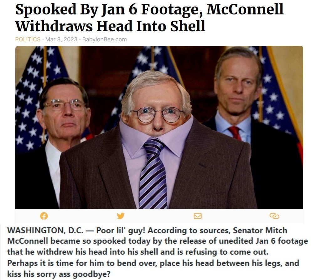 TransRepublican Yertle the Turtle Spooked by Tucker Carlson's J6 Footage | image tagged in yertle the turtle,mitch mcconnell,uniparty,douchebag,transrepublican,rino | made w/ Imgflip meme maker