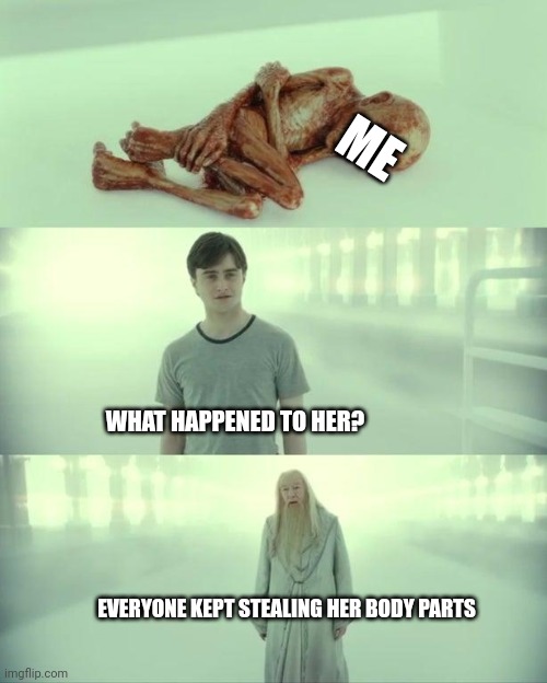 Inside joke, only legends will understand | ME; WHAT HAPPENED TO HER? EVERYONE KEPT STEALING HER BODY PARTS | image tagged in dead baby voldemort / what happened to him | made w/ Imgflip meme maker