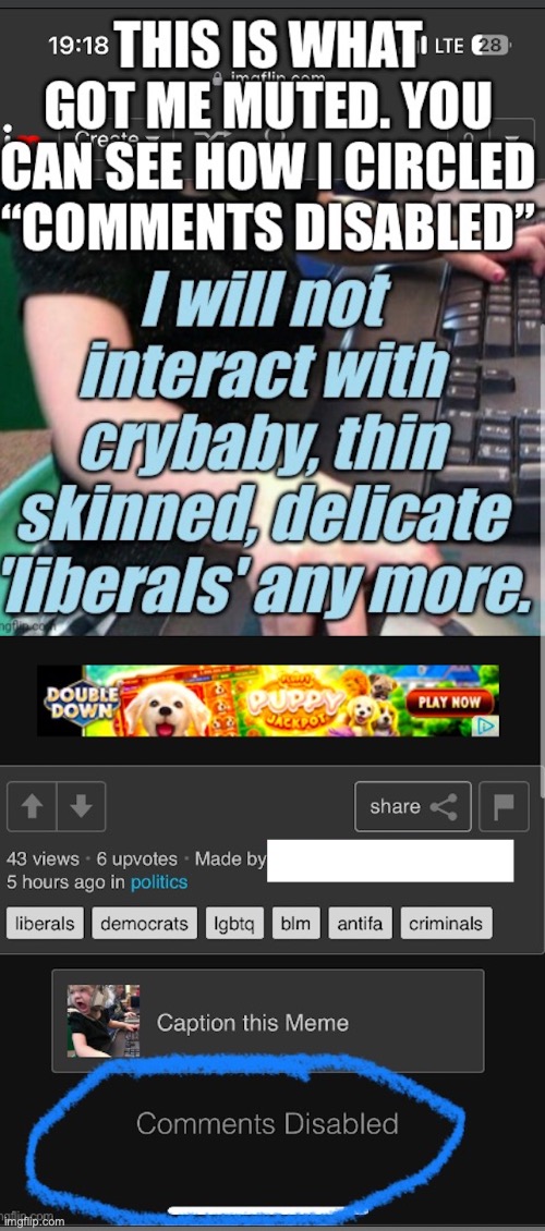 This is so dumb (edited image that was previously disapproved due to ToS) | image tagged in imgflip mods | made w/ Imgflip meme maker