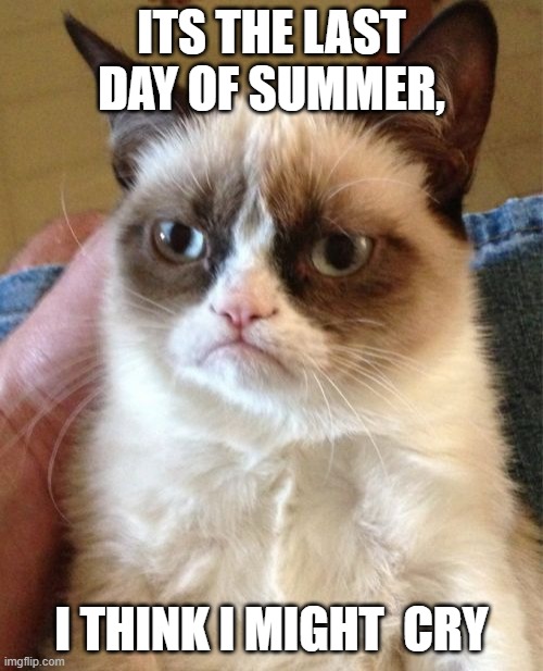 Grumpy Cat | ITS THE LAST DAY OF SUMMER, I THINK I MIGHT  CRY | image tagged in memes,grumpy cat | made w/ Imgflip meme maker