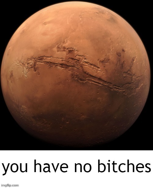 You have no bitches | image tagged in you have no bitches | made w/ Imgflip meme maker