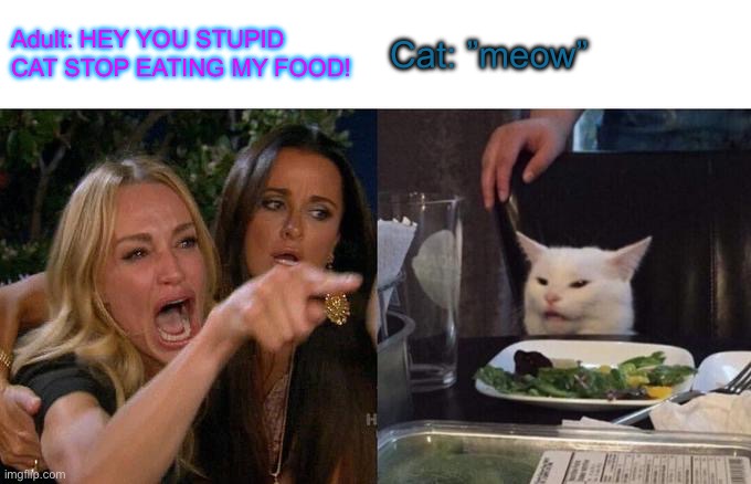 Woman Yelling At Cat Meme | Adult: HEY YOU STUPID CAT STOP EATING MY FOOD! Cat: ”meow” | image tagged in memes,woman yelling at cat | made w/ Imgflip meme maker