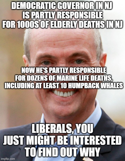 Murderin' Murphy | DEMOCRATIC GOVERNOR IN NJ 
IS PARTLY RESPONSIBLE FOR 1000S OF ELDERLY DEATHS IN NJ; NOW HE'S PARTLY RESPONSIBLE FOR DOZENS OF MARINE LIFE DEATHS, INCLUDING AT LEAST 10 HUMPBACK WHALES; LIBERALS, YOU JUST MIGHT BE INTERESTED TO FIND OUT WHY | image tagged in phil murphy | made w/ Imgflip meme maker