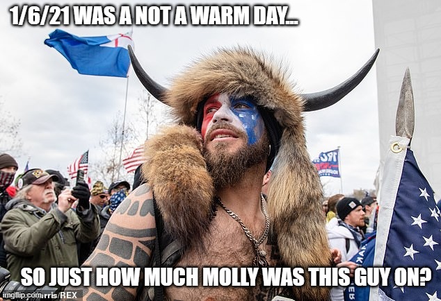 Wierdos in the news | 1/6/21 WAS A NOT A WARM DAY... SO JUST HOW MUCH MOLLY WAS THIS GUY ON? | image tagged in qanon shaman | made w/ Imgflip meme maker