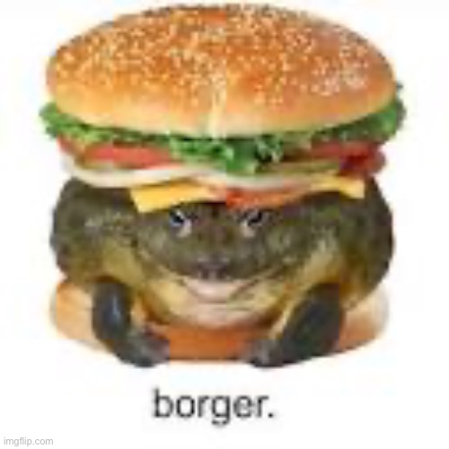 borger. | image tagged in bruh,lol,why are you reading this | made w/ Imgflip meme maker