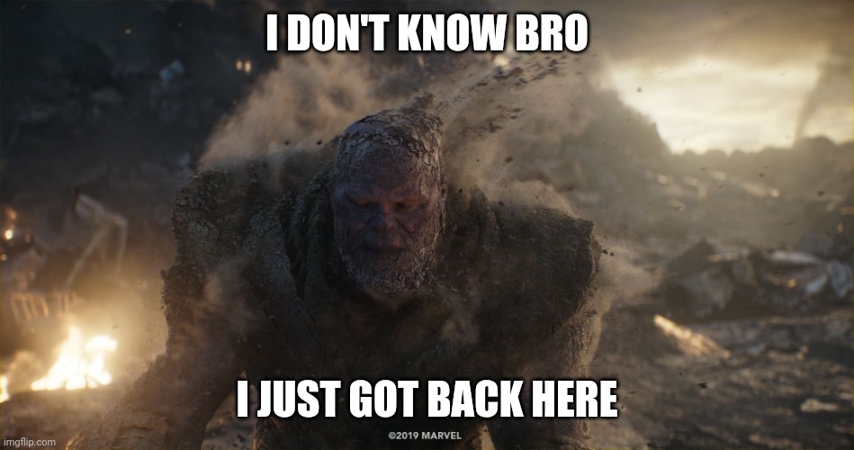 Thanos turns to dust | I DON'T KNOW BRO I JUST GOT BACK HERE | image tagged in thanos turns to dust | made w/ Imgflip meme maker