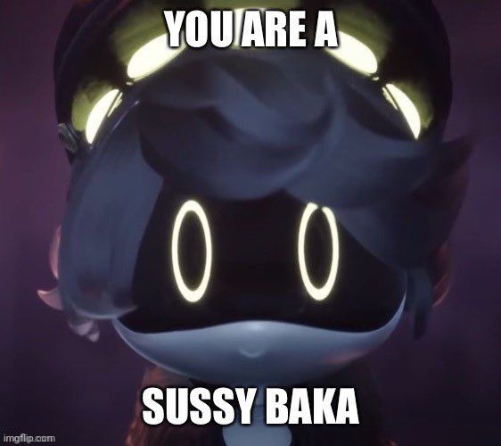 You are a Sussy Baka | image tagged in you are a sussy baka | made w/ Imgflip meme maker