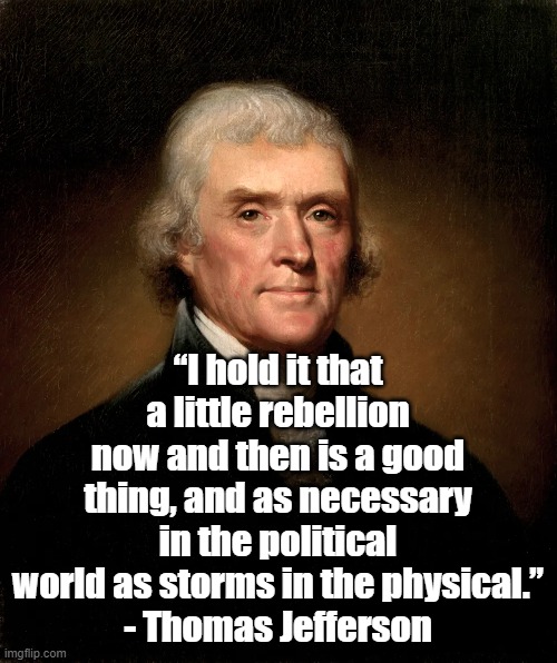 A little rebellion | “I hold it that a little rebellion now and then is a good thing, and as necessary in the political world as storms in the physical.”
- Thomas Jefferson | image tagged in thomas jefferson,politics,history,founding fathers | made w/ Imgflip meme maker