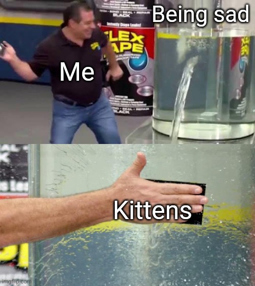 Flex Tape | Being sad; Me; Kittens | image tagged in flex tape | made w/ Imgflip meme maker