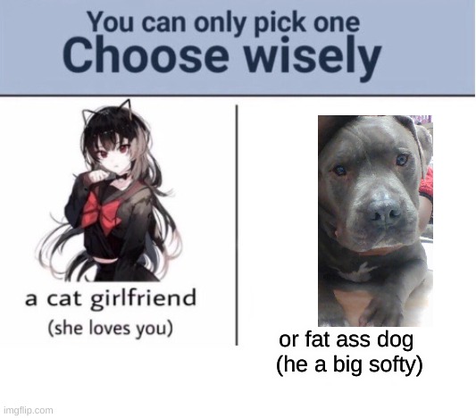 cute | or fat ass dog 
(he a big softy) | image tagged in choose wisely | made w/ Imgflip meme maker