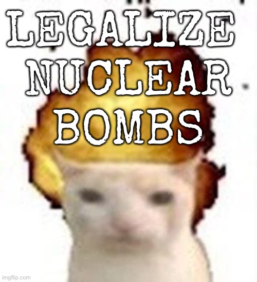 legalize nuclear bombs | LEGALIZE 
NUCLEAR
BOMBS | image tagged in legalize nuclear bombs | made w/ Imgflip meme maker