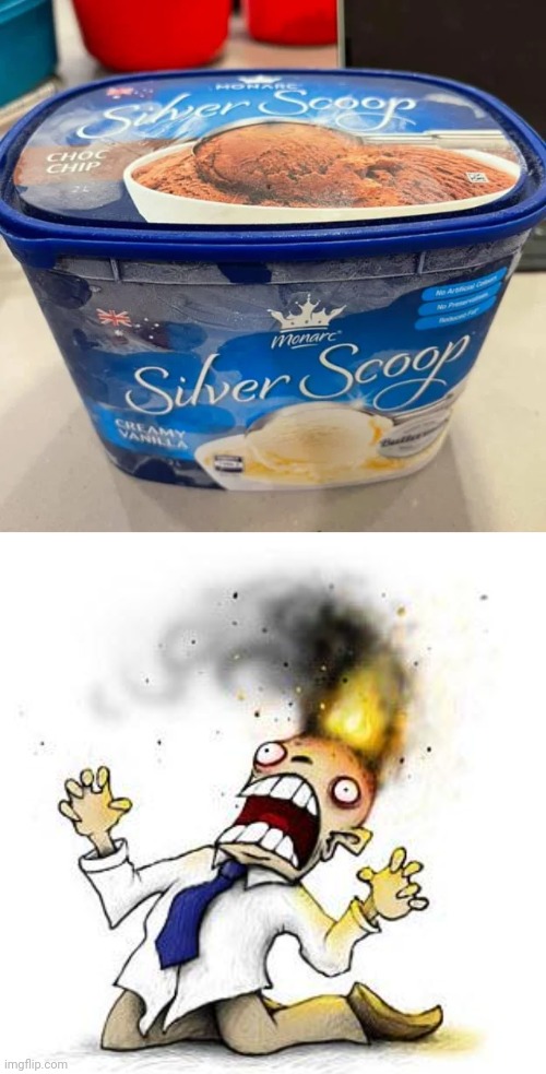 Ice cream package fail | image tagged in the irony it burns,ice cream,irony,you had one job,fails,memes | made w/ Imgflip meme maker