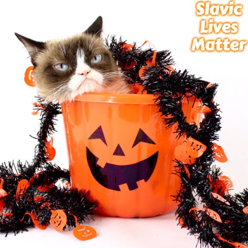 Grumpy Cat Halloween | Slavic Lives Matter | image tagged in grumpy cat halloween,slavic | made w/ Imgflip meme maker