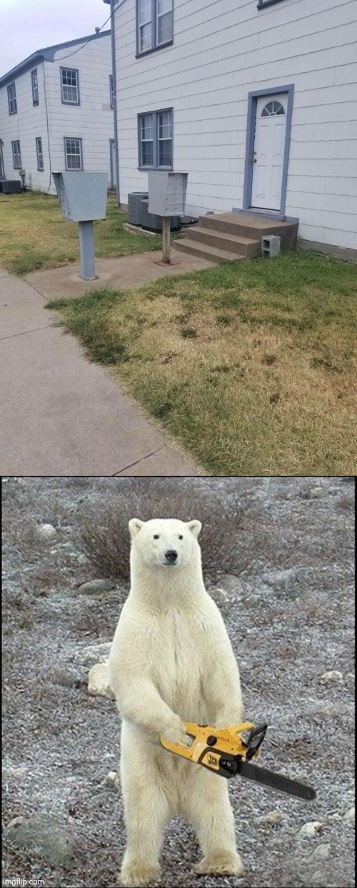 In the way | image tagged in chainsaw polar bear,mail,houses,house,you had one job,fails | made w/ Imgflip meme maker