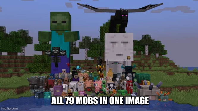 "Alright everyone! Time for a group photo!" | ALL 79 MOBS IN ONE IMAGE | image tagged in minecraft,minecraft mobs,group photo | made w/ Imgflip meme maker