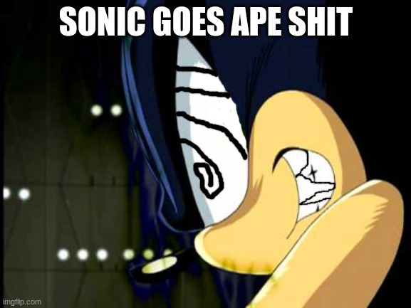 sonic the hedgehog | SONIC GOES APE SHIT | image tagged in dark sonic | made w/ Imgflip meme maker