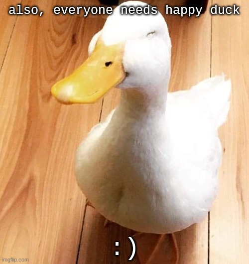 SMILE DUCK | also, everyone needs happy duck :) | image tagged in smile duck | made w/ Imgflip meme maker