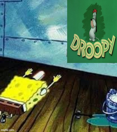 spongebob worships droopy | image tagged in spongebob worship,droopy,classic cartoons,mgm,dogs | made w/ Imgflip meme maker