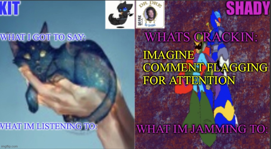 Kitnshady | IMAGINE COMMENT FLAGGING FOR ATTENTION | image tagged in kitnshady | made w/ Imgflip meme maker