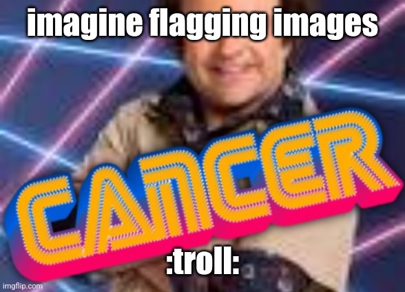 Schwoz Cancer | imagine flagging images; :troll: | image tagged in schwoz cancer | made w/ Imgflip meme maker