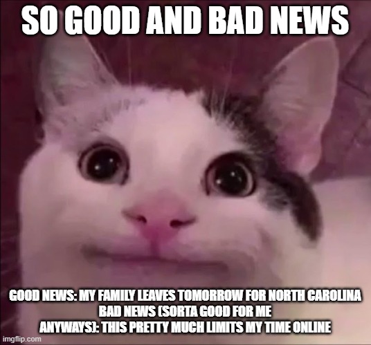 so yeah | SO GOOD AND BAD NEWS; GOOD NEWS: MY FAMILY LEAVES TOMORROW FOR NORTH CAROLINA
BAD NEWS (SORTA GOOD FOR ME ANYWAYS): THIS PRETTY MUCH LIMITS MY TIME ONLINE | image tagged in awkward smile cat | made w/ Imgflip meme maker