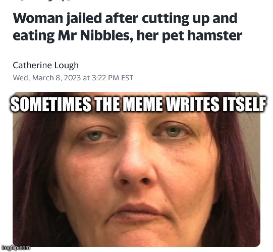 Me nibbles got the nibbled | SOMETIMES THE MEME WRITES ITSELF | image tagged in hamster,eating,nom nom nom,meat | made w/ Imgflip meme maker