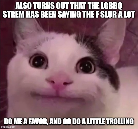 By that, I mean getting them comment/post banned. HA! | ALSO TURNS OUT THAT THE LGBBQ STREM HAS BEEN SAYING THE F SLUR A LOT; DO ME A FAVOR, AND GO DO A LITTLE TROLLING | image tagged in awkward smile cat | made w/ Imgflip meme maker