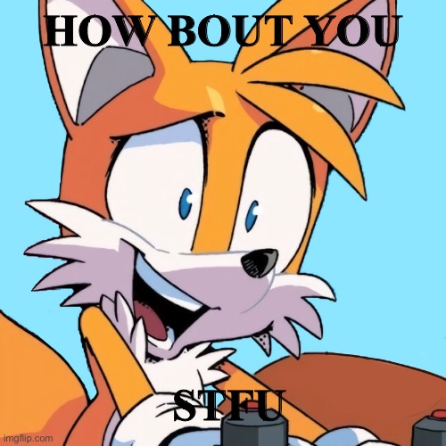 Tails said it not me | HOW BOUT YOU; STFU | image tagged in funny,sonic the hedgehog | made w/ Imgflip meme maker