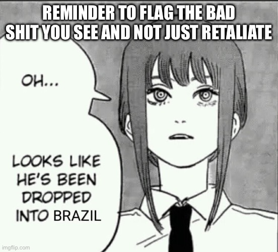 just in case something happens | REMINDER TO FLAG THE BAD SHIT YOU SEE AND NOT JUST RETALIATE | image tagged in maxima brazil | made w/ Imgflip meme maker