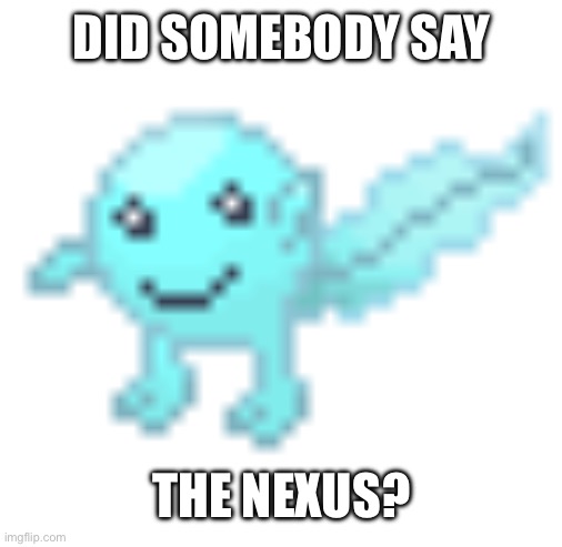 Hoplash | DID SOMEBODY SAY THE NEXUS? | image tagged in hoplash | made w/ Imgflip meme maker