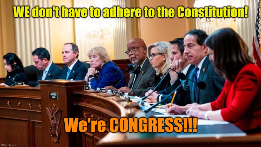 Immunity Rocks!!! | WE don't have to adhere to the Constitution! We're CONGRESS!!! | made w/ Imgflip meme maker