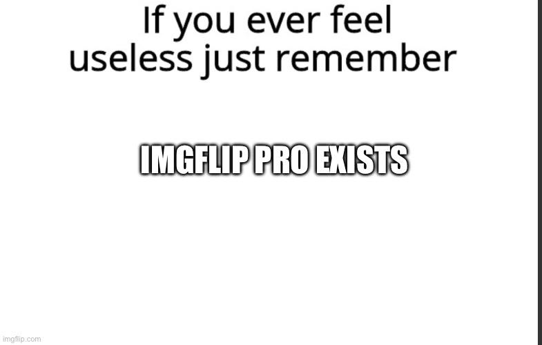 If you ever feel useless remember this | IMGFLIP PRO EXISTS | image tagged in if you ever feel useless remember this | made w/ Imgflip meme maker