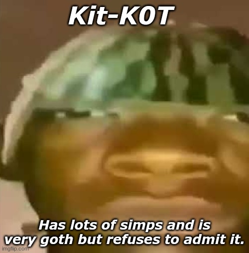 Crap Post 2: Kit-The-Bed-Murderer | Kit-K0T; Has lots of simps and is very goth but refuses to admit it. | image tagged in shitpost | made w/ Imgflip meme maker