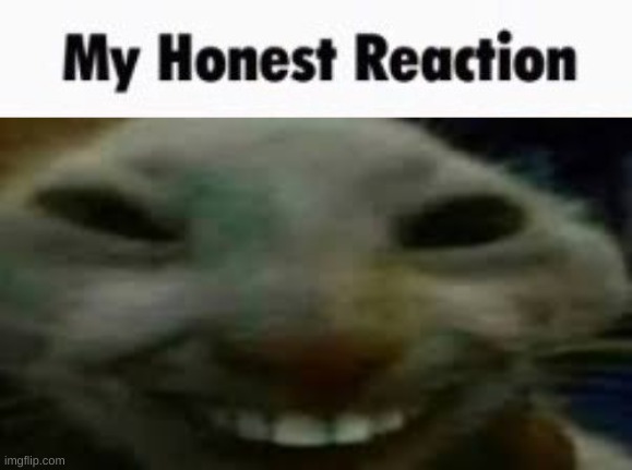 Another my honest reaction temp for yall | made w/ Imgflip meme maker