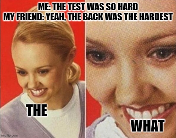the WHAT | ME: THE TEST WAS SO HARD
MY FRIEND: YEAH, THE BACK WAS THE HARDEST; THE                                                                                      WHAT | image tagged in the what,funny,test | made w/ Imgflip meme maker