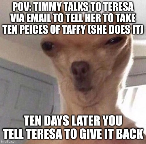 Funny dog | POV: TIMMY TALKS TO TERESA VIA EMAIL TO TELL HER TO TAKE TEN PEICES OF TAFFY (SHE DOES IT); TEN DAYS LATER YOU TELL TERESA TO GIVE IT BACK | image tagged in funny dog | made w/ Imgflip meme maker