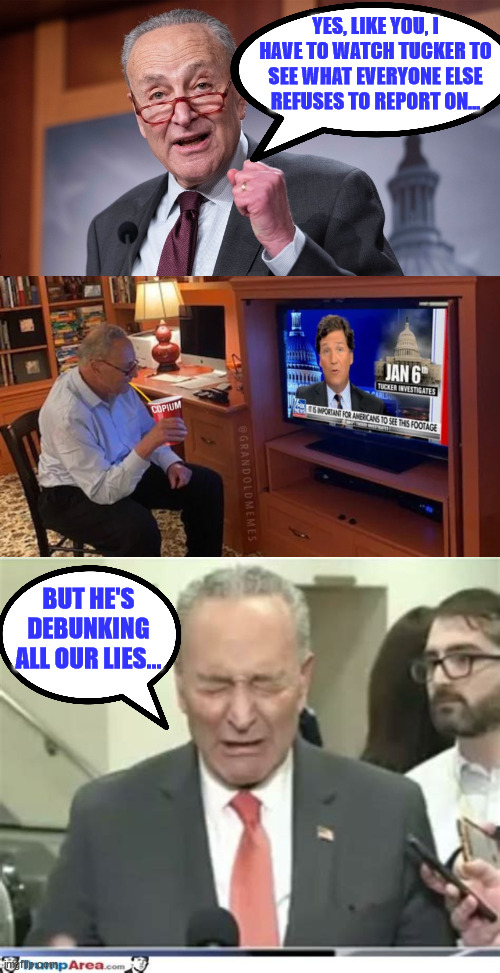 They want you censored to hide the truth... | YES, LIKE YOU, I HAVE TO WATCH TUCKER TO SEE WHAT EVERYONE ELSE REFUSES TO REPORT ON... BUT HE'S DEBUNKING ALL OUR LIES... | image tagged in chuck schumer,upset | made w/ Imgflip meme maker