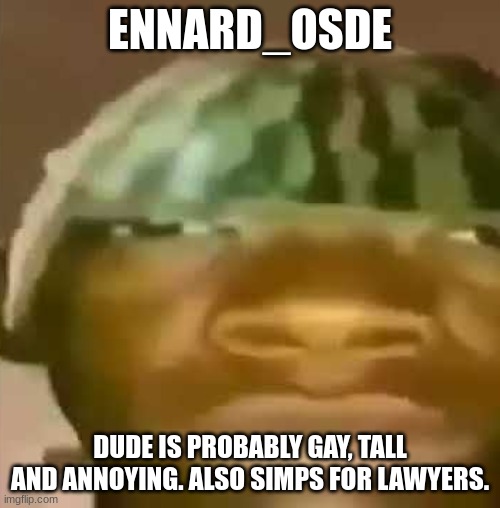 Crap Post 5: Ennard_OsDe | ENNARD_OSDE; DUDE IS PROBABLY GAY, TALL AND ANNOYING. ALSO SIMPS FOR LAWYERS. | image tagged in shitpost | made w/ Imgflip meme maker