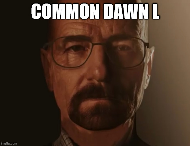 Stfu about Jews, hitler will take care of them | COMMON DAWN L | image tagged in saul goodman but it s walter white | made w/ Imgflip meme maker