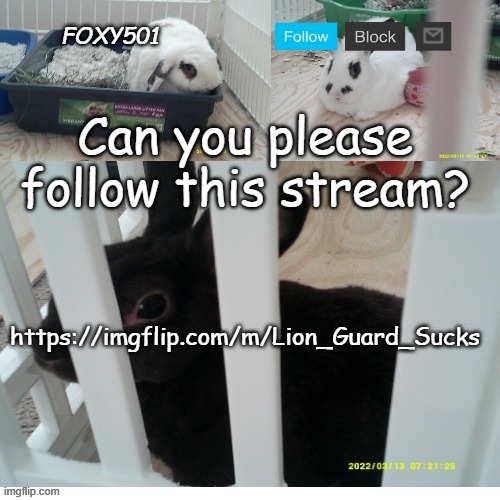 Please? | Can you please follow this stream? https://imgflip.com/m/Lion_Guard_Sucks | image tagged in foxy501 announcement template | made w/ Imgflip meme maker